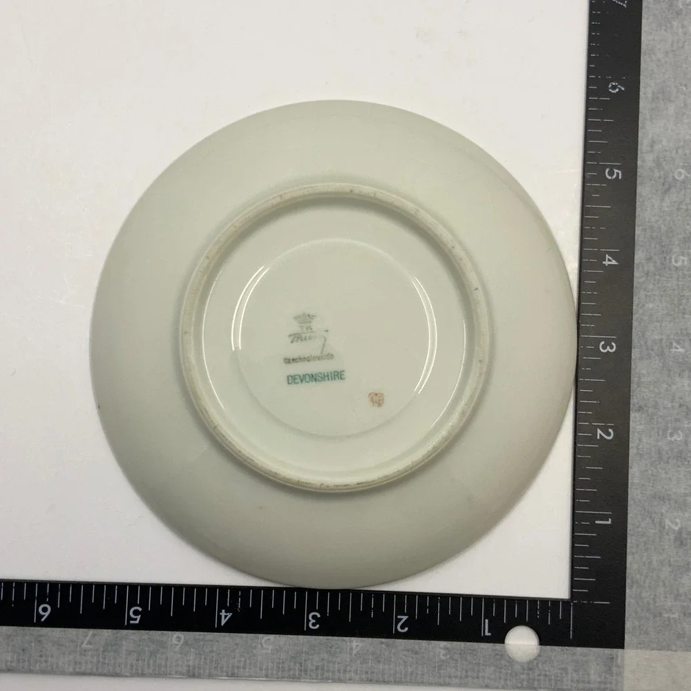 Vintage TK Thun Saucer Devonshire Porcelain Multicolor 5.75in